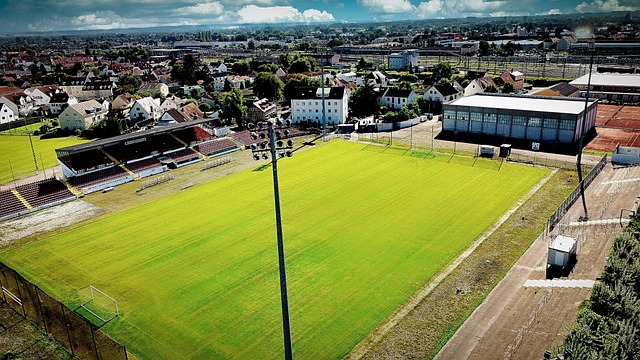 开花的愿景 开花的愿景