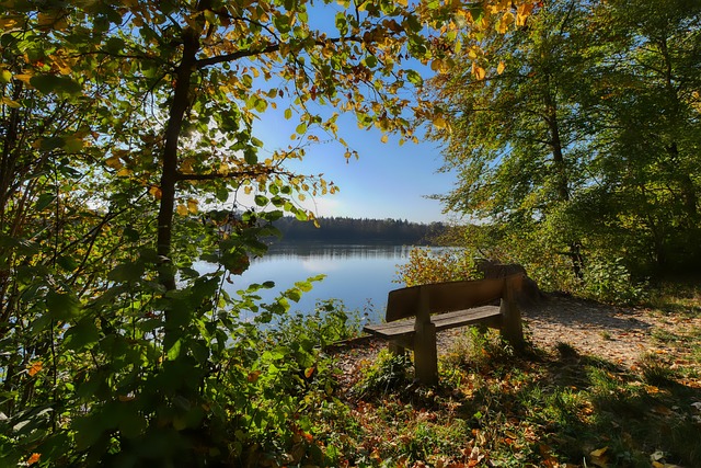 皇马能够继 皇马能够继