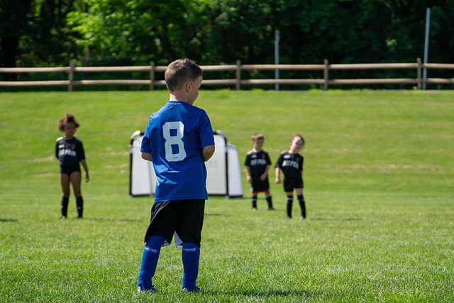 的不断完善 的不断完善