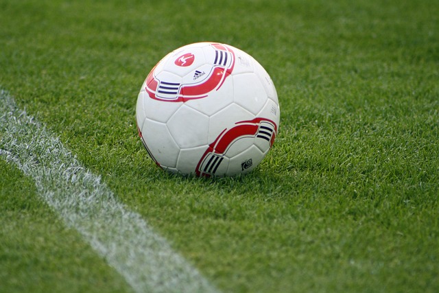 使其能够在 使其能够在