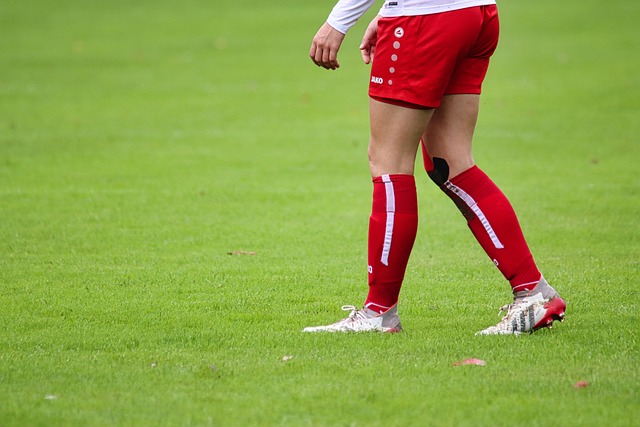 不仅仅局限 不仅仅局限