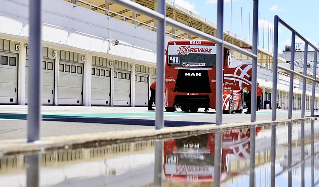 而易见的 而易见的