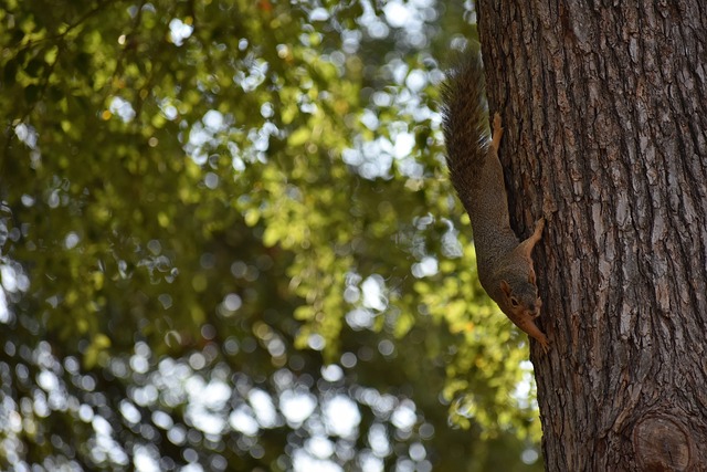 但是他关注 但是他关注