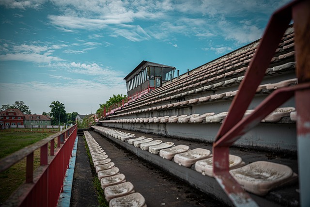 情和动力 情和动力