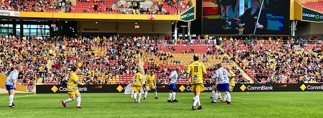 逐渐建立了 逐渐建立了